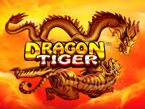 Dragon Tiger: Descubra o que todos estão falando